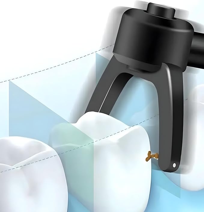 Electric Dental Flosser